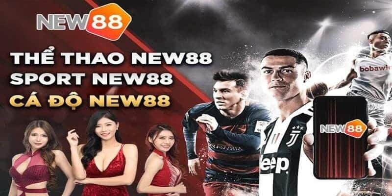 Hình thức cá cược thể thao hấp dẫn tại New88